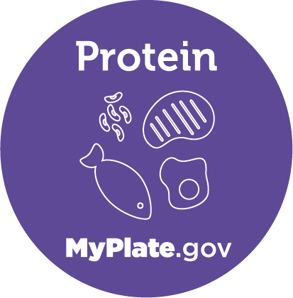 My Plate Protein